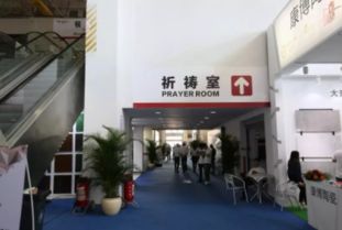 第33屆佛山陶博會超全觀展攻略 洞見趨勢，高效賦能
